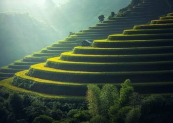 Sapa Vietnam