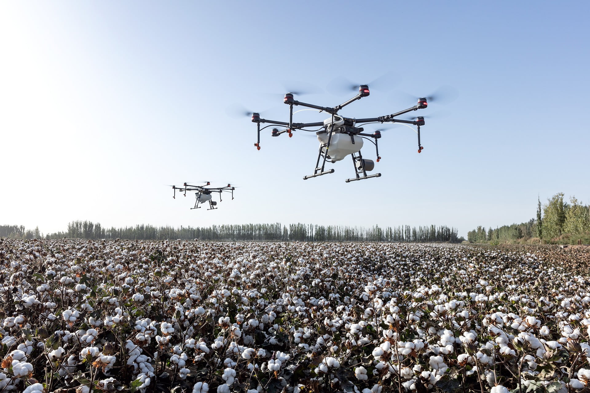 drone 