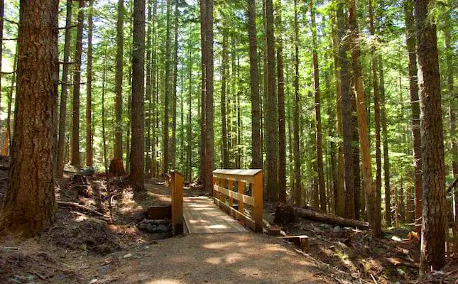 The Mirror Lake Trail
