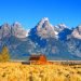 Free Things to Do in Jackson Hole
