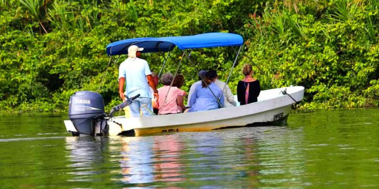 Monkey River Tour Belize