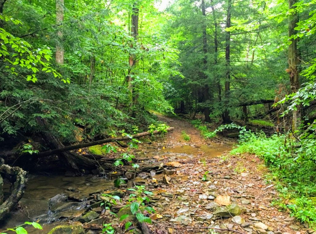Portsmouth, Ohio hiking