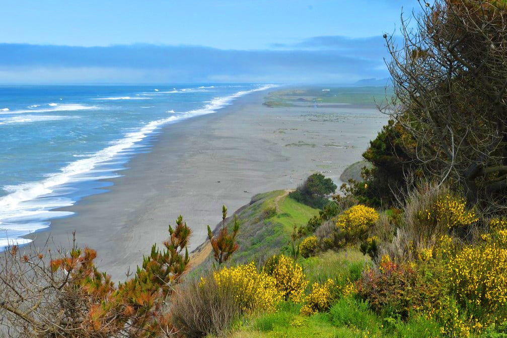 Things to Do in Ferndale, CA