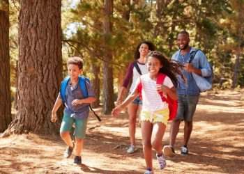 things to do in springfield il with kids