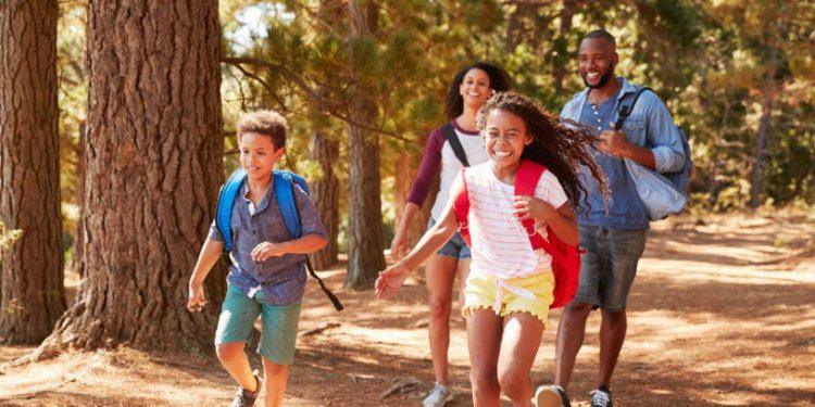 things to do in springfield il with kids