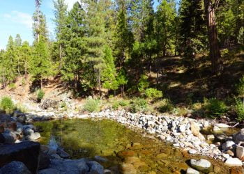 stewart mineral hot springs