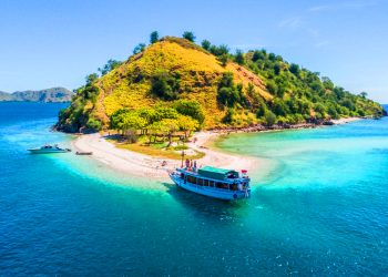 Komodo Island tour from Bali