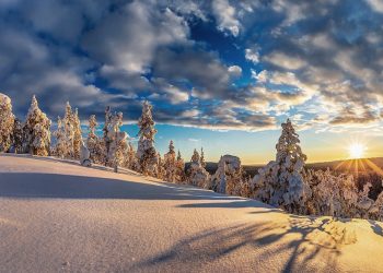 Where to Travel in January 2024