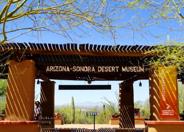 Arizona-Sonora Desert Museum