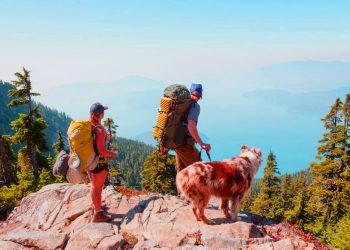 Best Dogs for Hiking and Camping 1