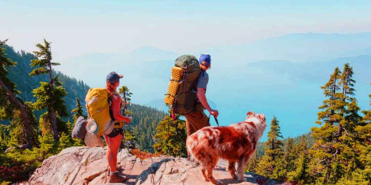 Best Dogs for Hiking and Camping 1