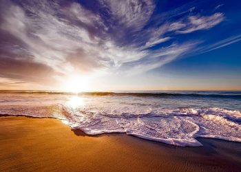 5 Proven Tips for Finding Your Way to Taylor Bay Beach