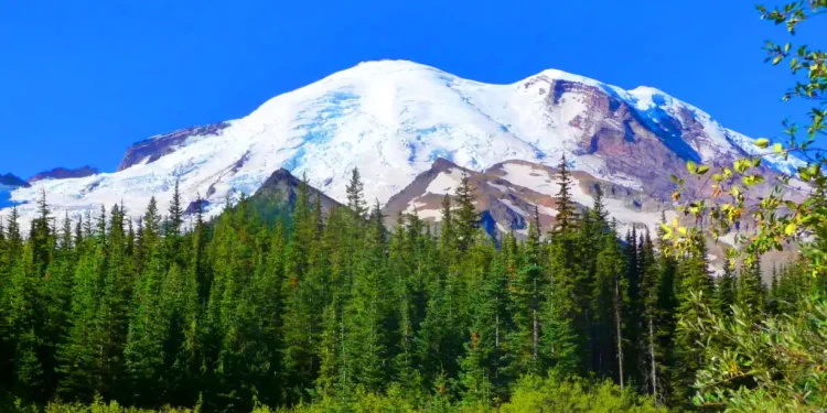 mt rainier vs north cascades