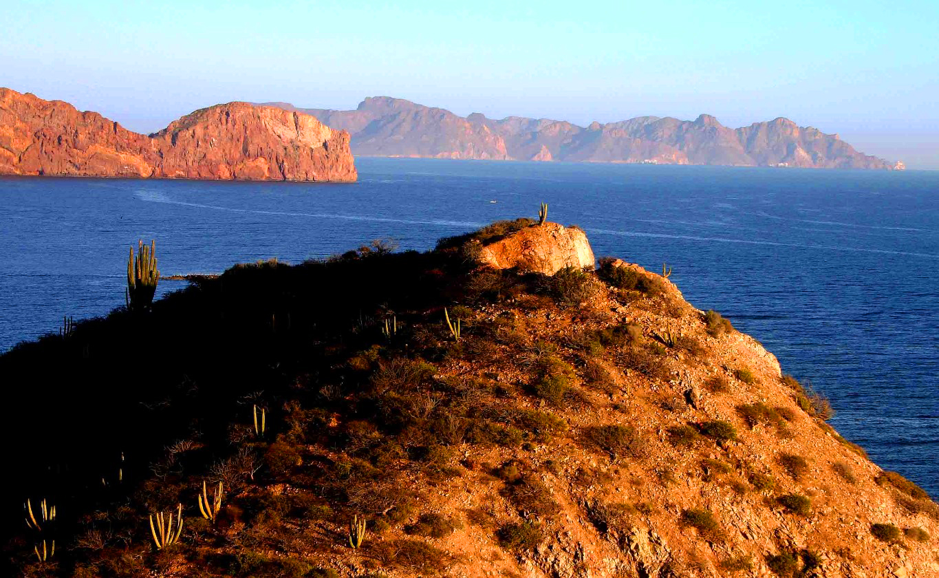 things to do in san carlos sonora