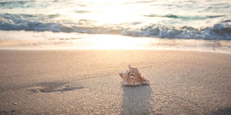 Turtle Beach Headset Not Working on PC? Troubleshooting Tips to Fix It Fast