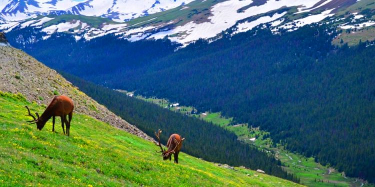 breckenridge co to rocky mountain national park