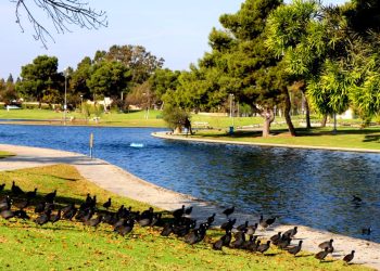 fun things to do in cerritos