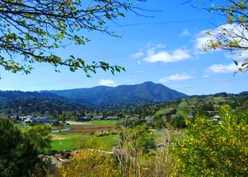 things to do in mill valley