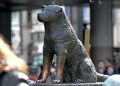 Hachiko