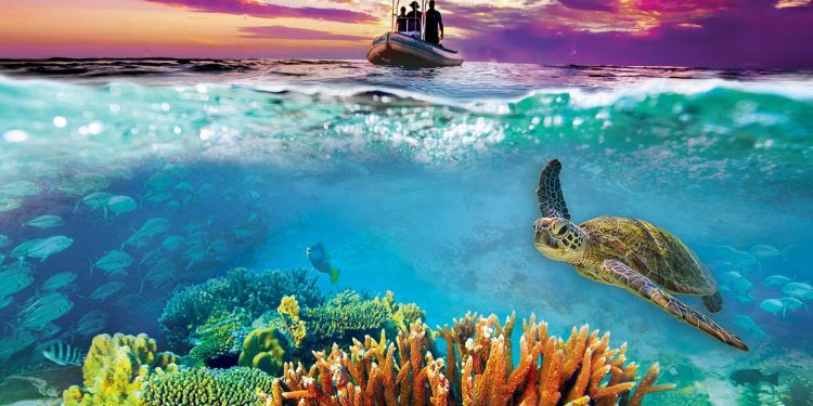 Must-Visit Places in Australia