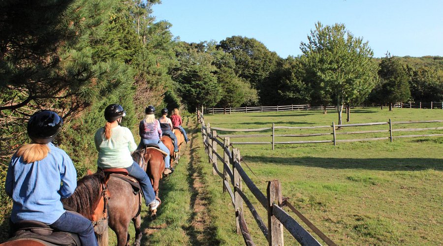 Block Island vs. Martha’s Vineyard